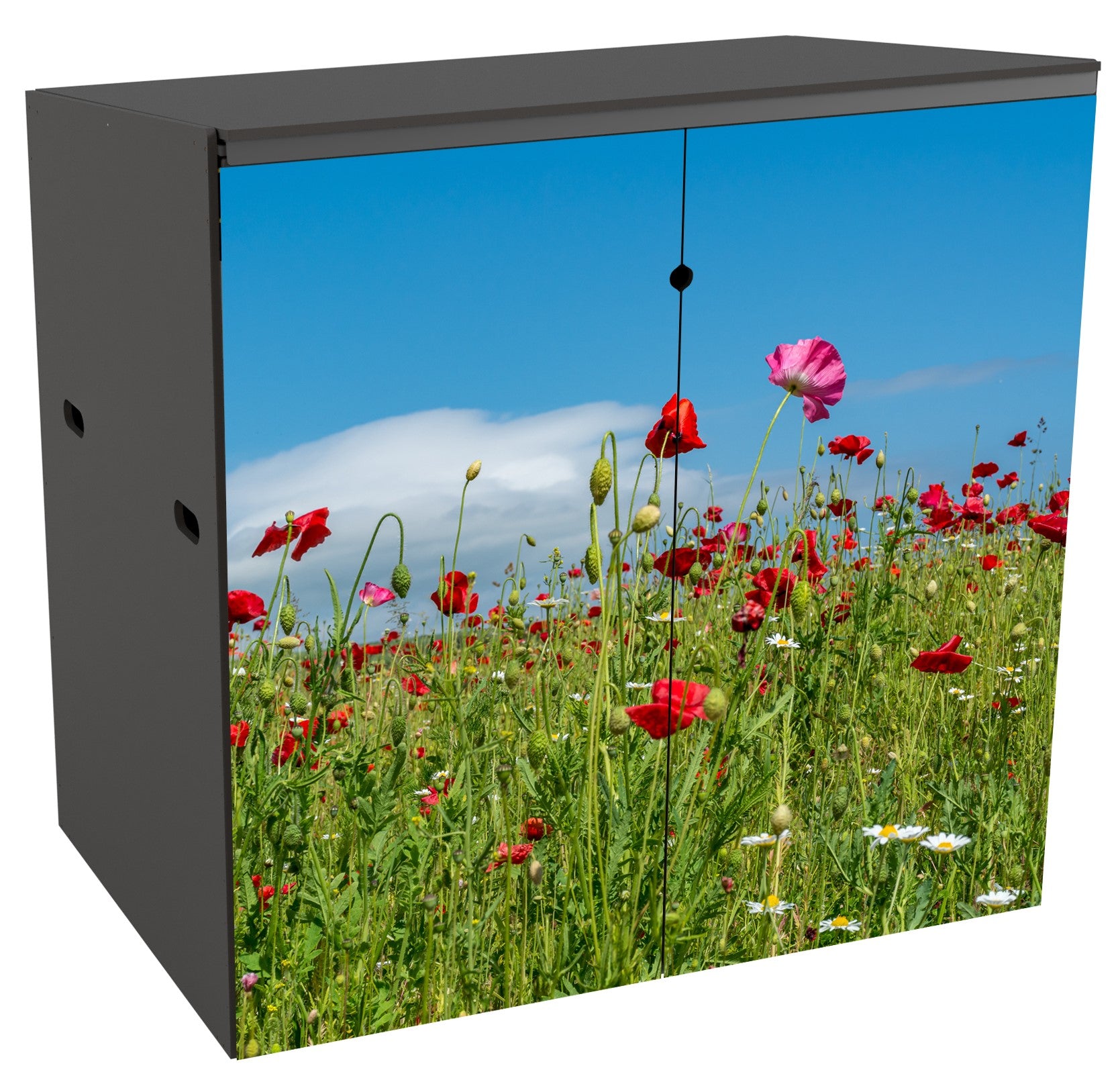 A 2 bin garden storage unit seen from the front. The doors show a vibrant photo of a meadow of poppies. The top half is mainly a bright blue sky with a wispy cloud and the bottom half is a close-up view, from a low angle, of a mass of green stems with poppy heads in red and pinks against the sky. The blooms are at actual size . Some daisies and yet-to-open buds add variety to the image.